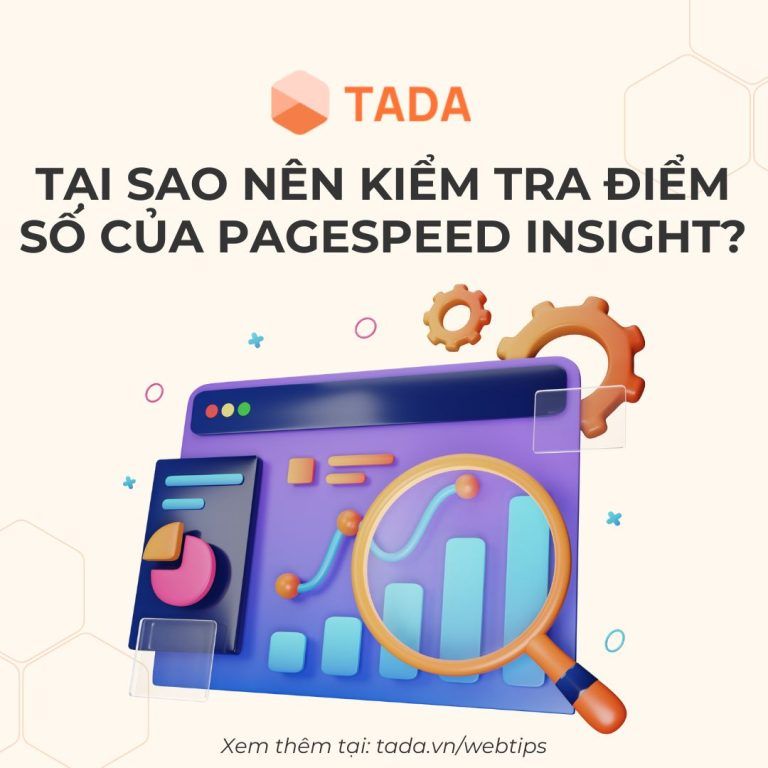 Tai Sao Nen Kiem Tra Diem So Cua PageSpeed Insight