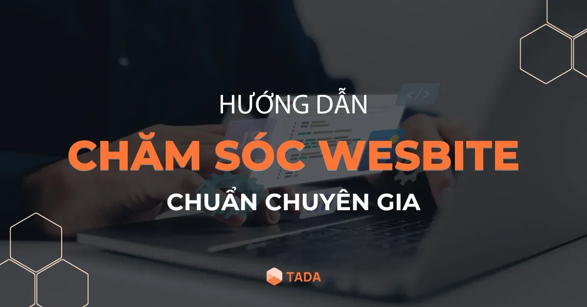 Huong Dan 8 Buoc Cham Soc Website Dung Cach Theo Chuyen Gia